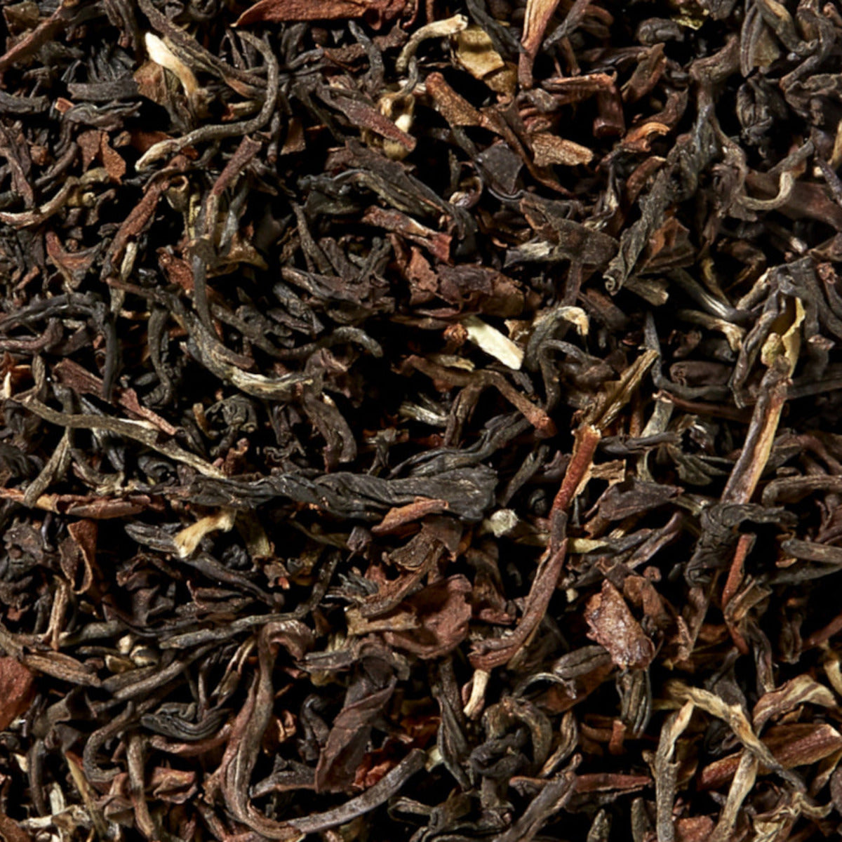 Schwarztee Darjeeling Steinthal