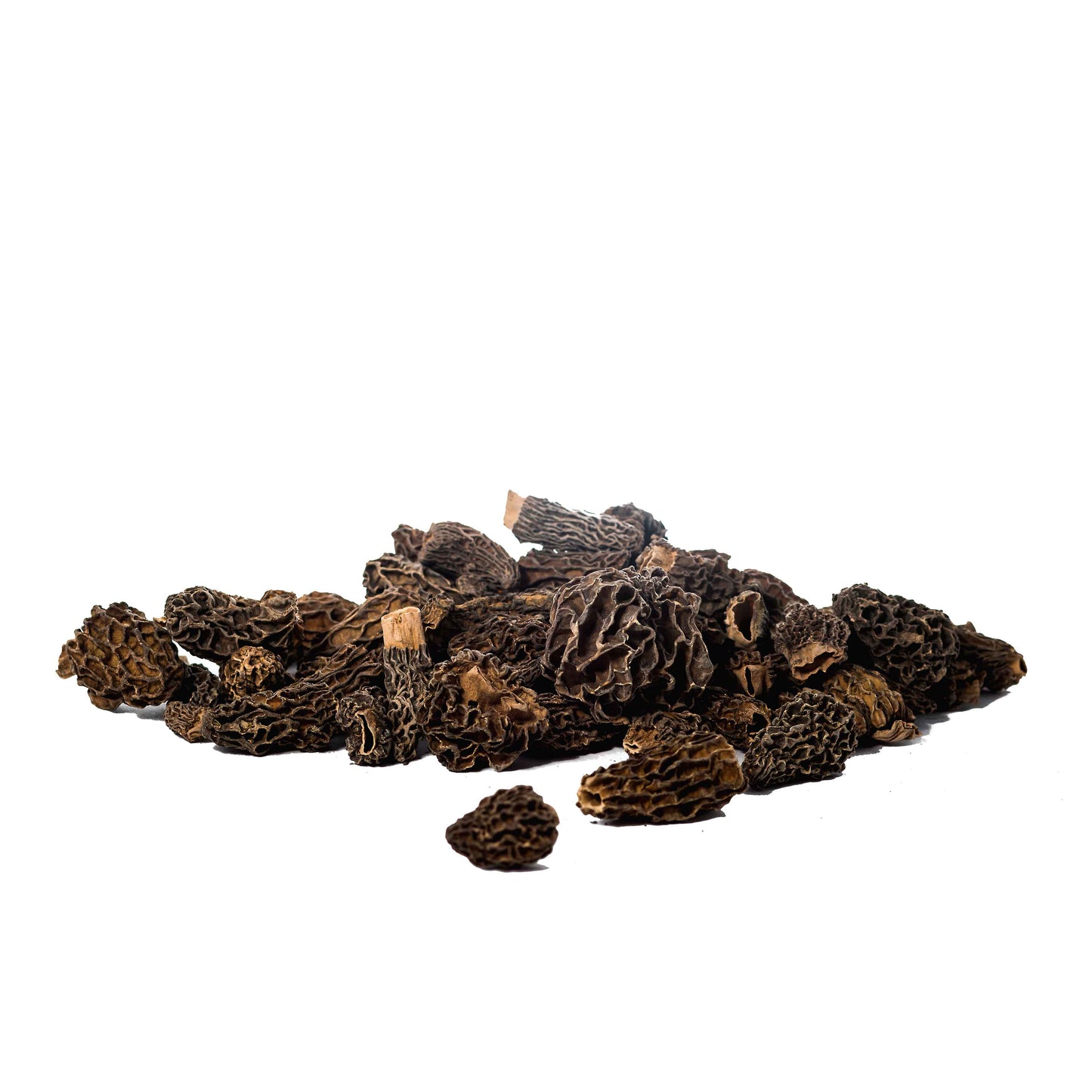 Morcheln - getrocknet, ganz, ohne Stiel 50g