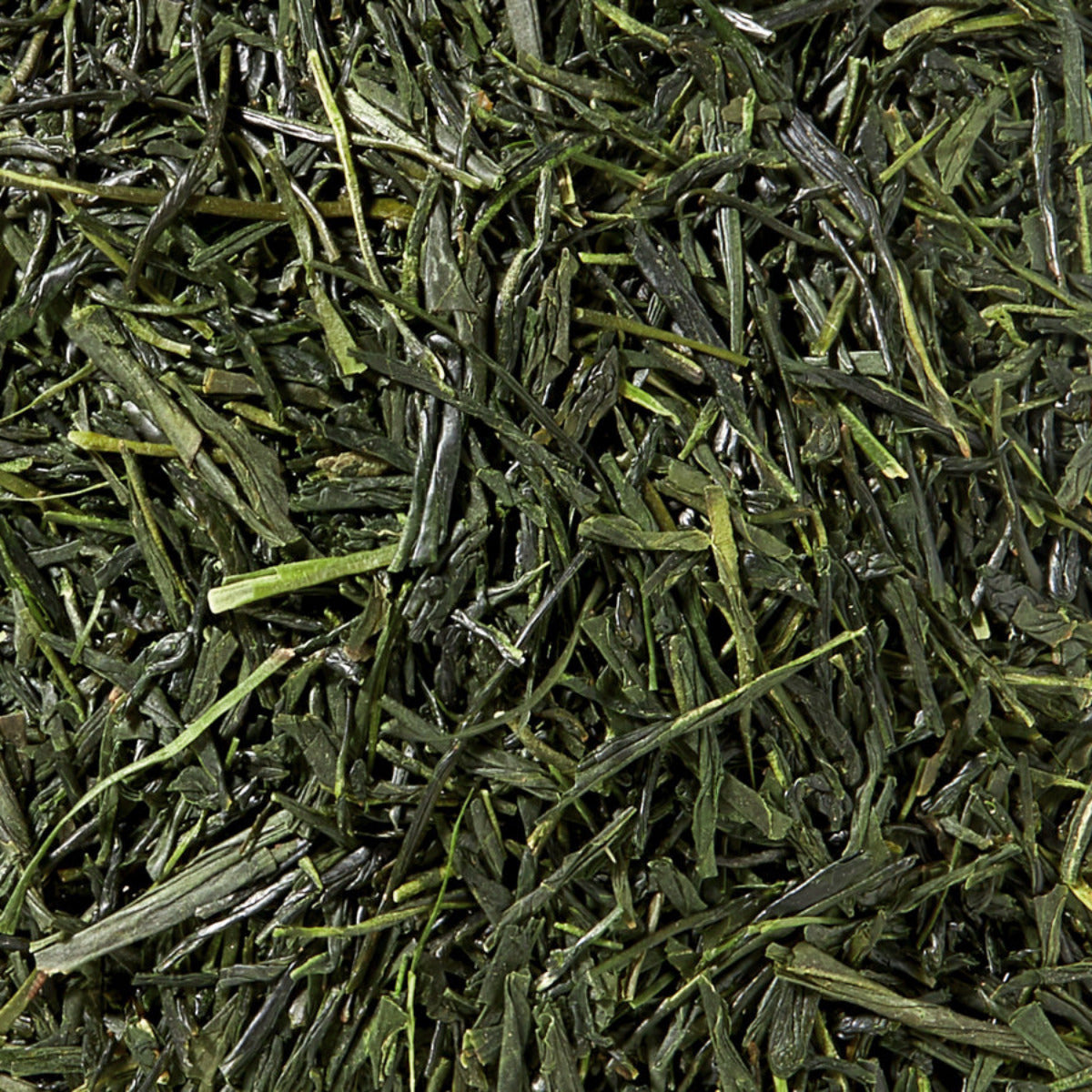 Grüntee Japan Sencha Fuji