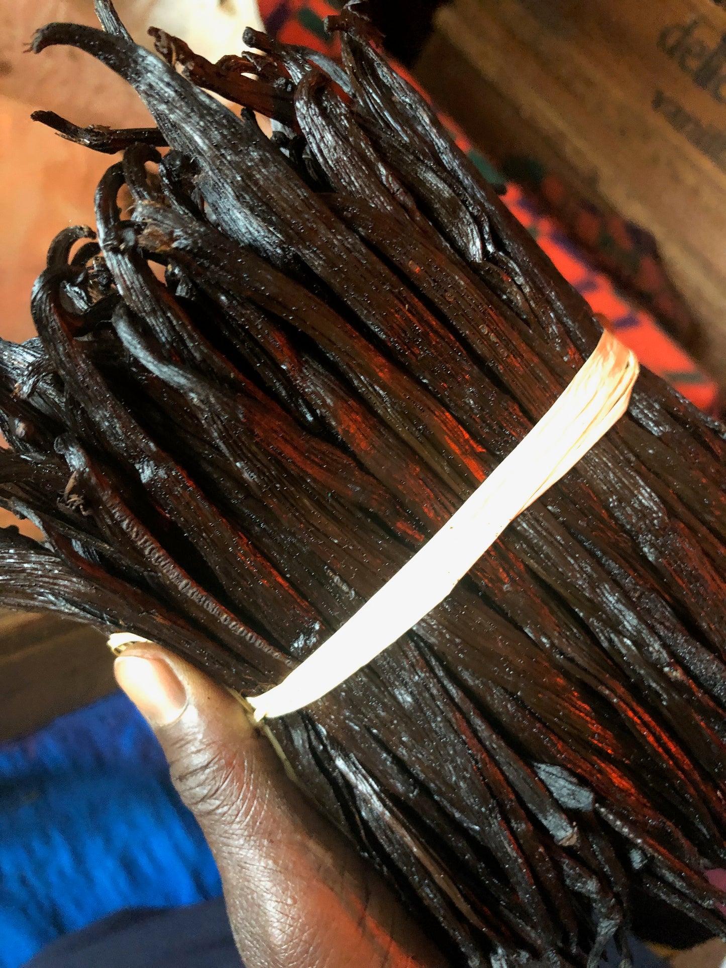 Vanilleschoten +14cm