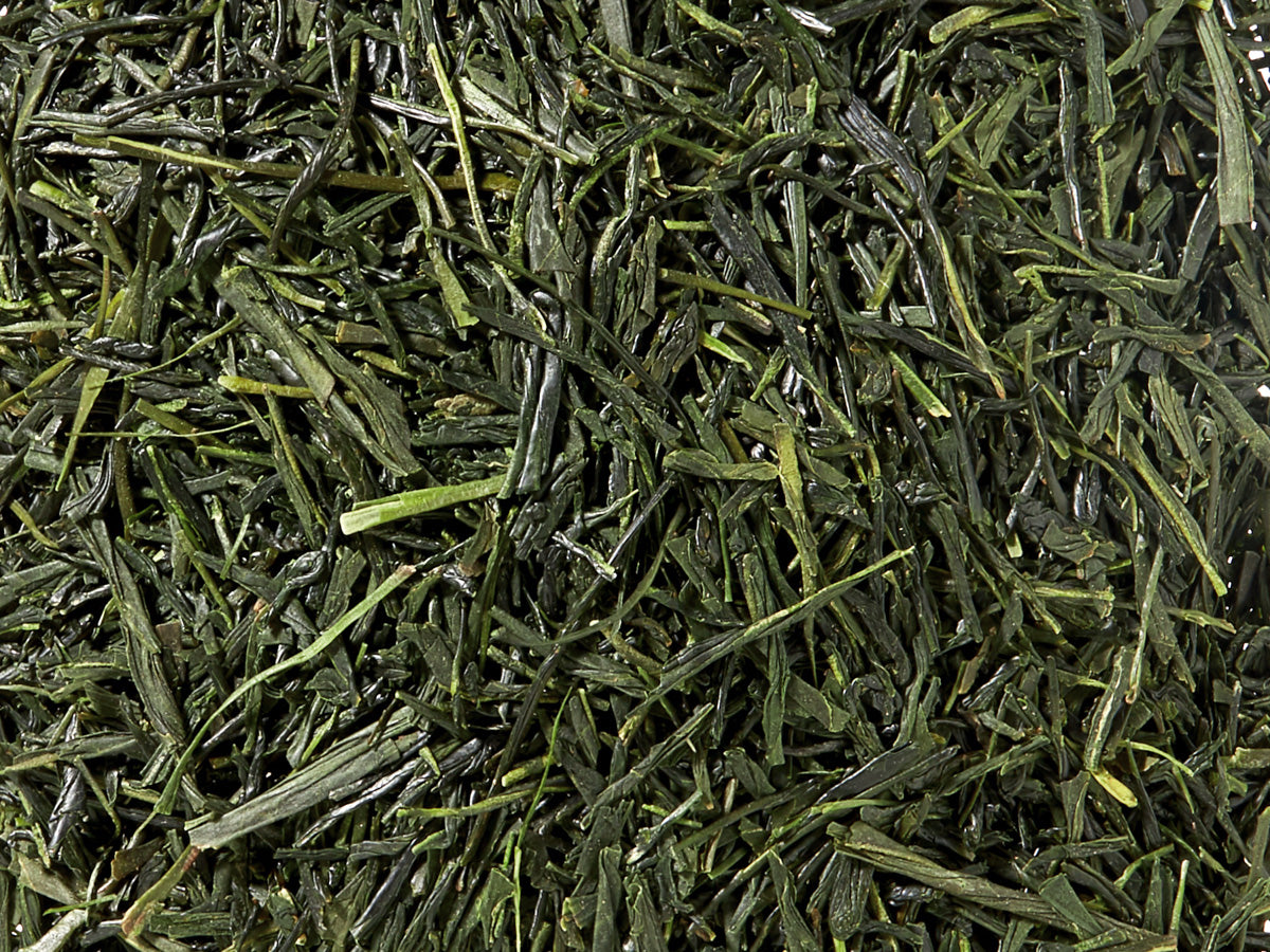 Grüntee Japan Sencha Fuji