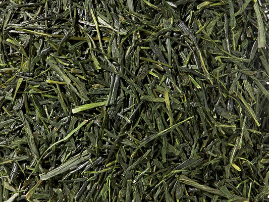 Grüntee Japan Sencha Fuji